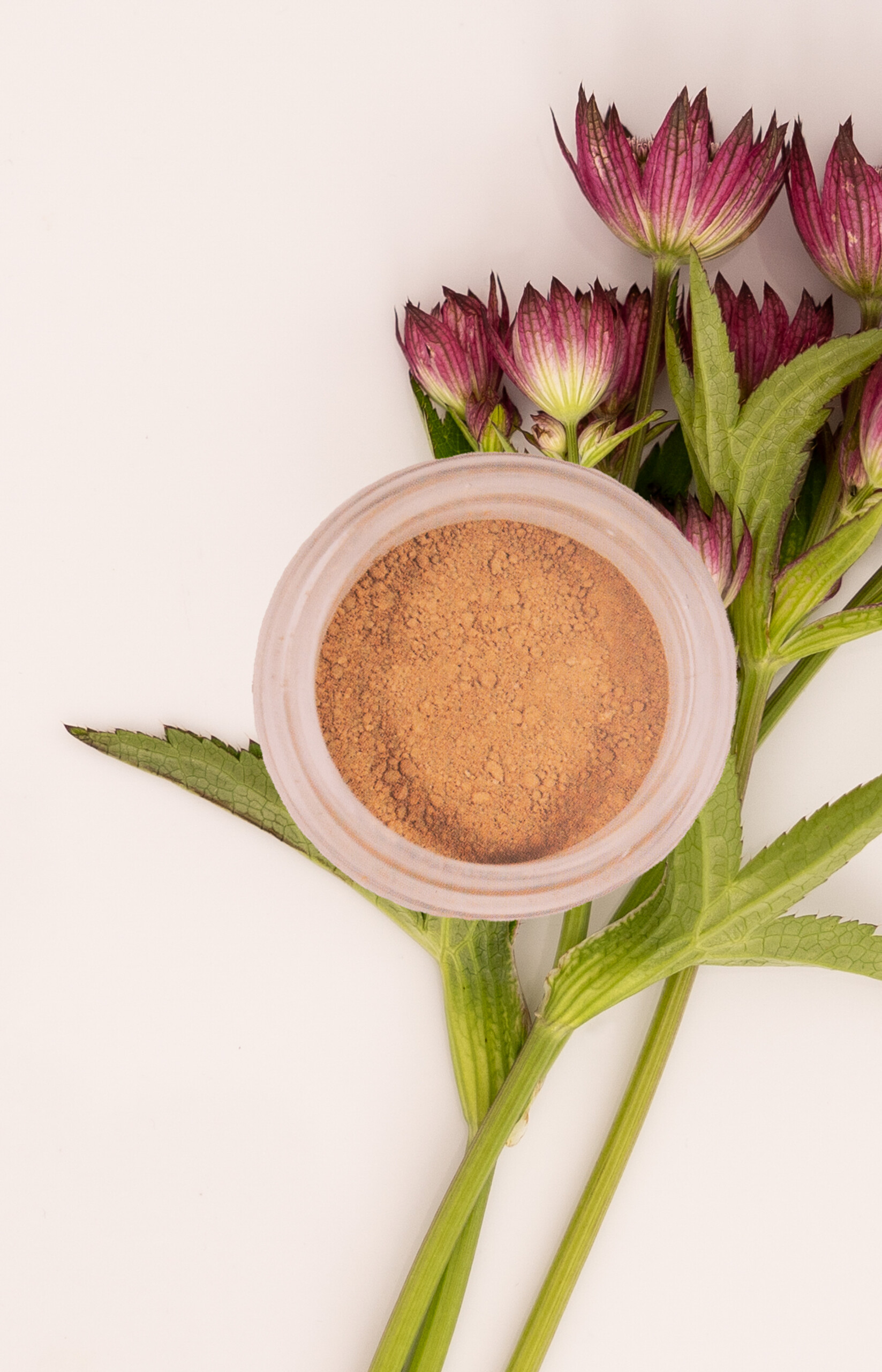 Mineral Puder Foundation